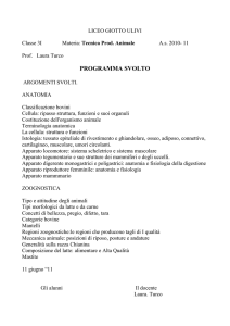 programma svolto