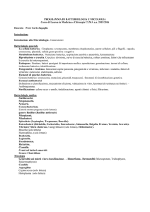 programma di batteriologia e micologia - e