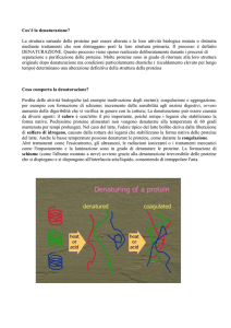 Denaturazione - IHMC Public Cmaps (3)