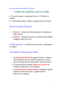 COMUNICAZIONE CELLULARE