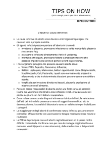 L`aborto – cause infettive
