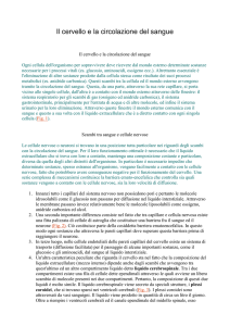 Il cervello e la circolazione del sangue
