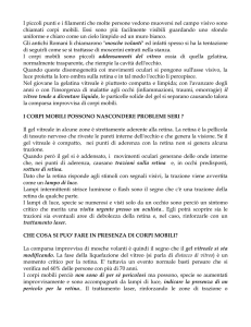 corpi mobili - Studio Dr. Alessandro Pezzola