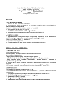 Prog. 5B 2015-16 scienze