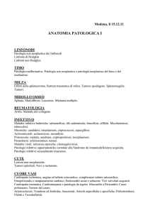 Anatomia Patologica 1
