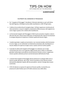 I nutrienti del mangime di finissaggio