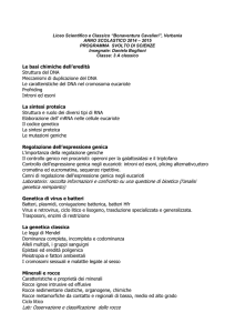 Liceo Scientifico e Classico “Bonaventura Cavalieri”, Verbania