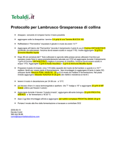 Protocollo Lambrusco Grasparossa collina