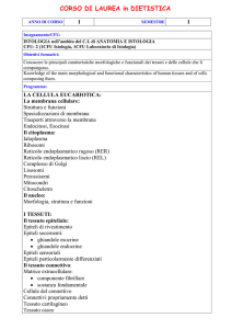 Programma
