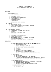 programma di matematica iie