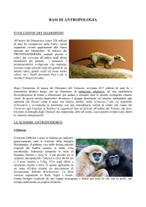BASI DI ANTROPOLOGIA
