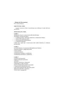 Biologia dei Microrganismi
