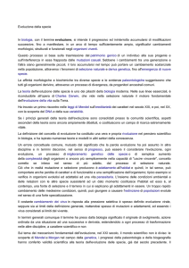 Evoluzione della specie