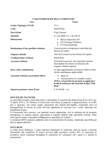 scheda tecnica (doc - 44.5KB)