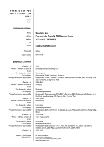 Curriculum Vitae Formato Europeo