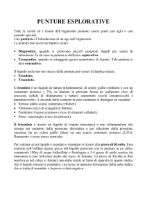puntura sottoccipitale o cisternale