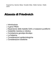 Instabilità meiotica e mitotica