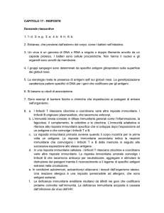 Capitolo_17