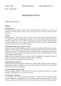 programma svolto