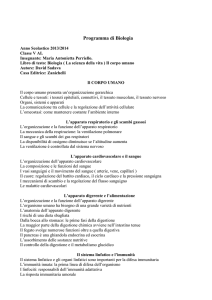Il corpo umano presenta un`organizzazione gerarchica