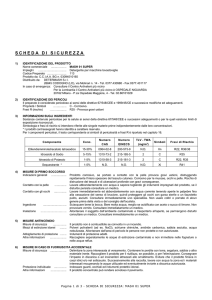 scheda di sicurezza
