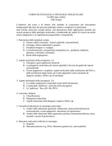 programma