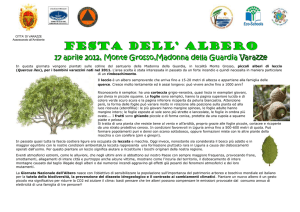 scheda didattica - (CEA)
