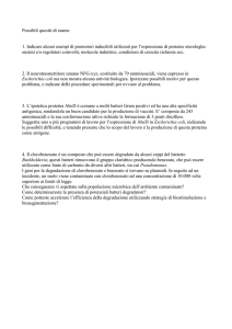 Indicare alcuni esempi di promotori inducibili utilizzati per l