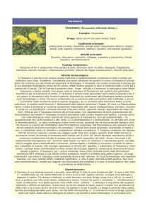 tarassaco - Farmacia S. Antonio – Brescia