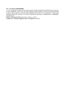 organogena