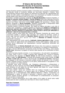 il DES Sud-Ovest milanese [dicembre 2008]