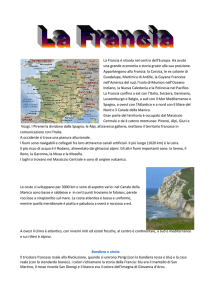 La Francia - profgraziano.it
