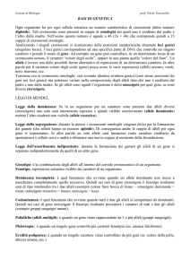 Ogni organismo ha per ogni cellula somatica un numero