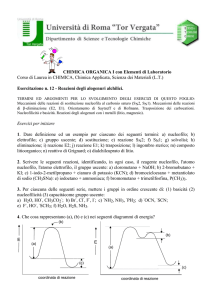 Esercitazioni 12 - Macroarea di Scienze