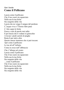 6c gen verde come il pellicano