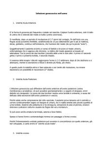 Infezione gonococcica nell`uomo