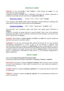 Carboidrati - I.C. Ferrari Pontremoli