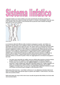 L - scienzebeltrame