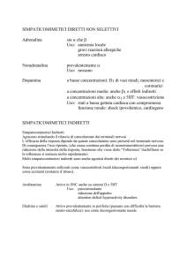 Farmacologia del sistema catecolaminergico