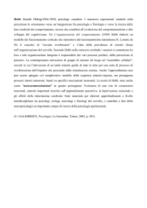 bb-Hebb - IHMC Public Cmaps (3)