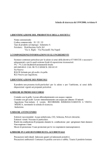 Scheda di sicurezza del 19/9/2000, revisione 0