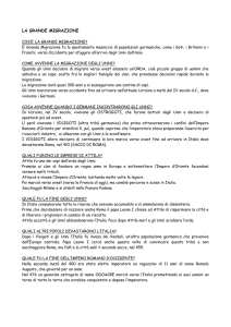 LA GRANDE MIGRAZIONE