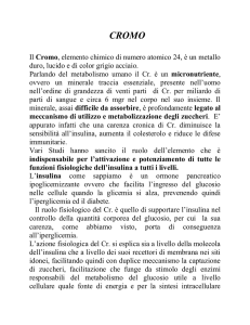 Cromo - Dott. Stefano Ciappi