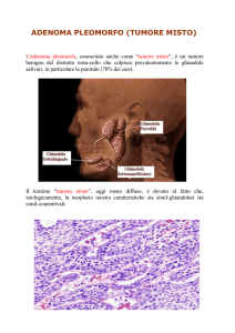 Adenoma pleomorfo (Tumore misto)
