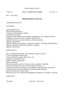programma svolto