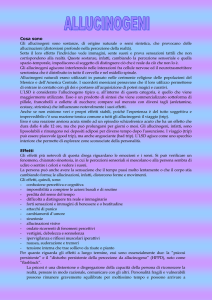 SCHEMA DELLA SCHEDA SULLA SOSTANZA