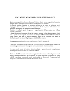 11_Il_sistema_CARTO