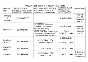 TABELLA DEI 5 REGNI (PAG 79) al 4 ottobre 2010