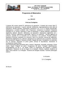 Programmi Prof.ssa Costigliola Matematica1b