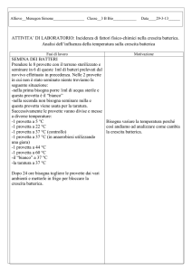 Temperatura_su_crescita_batterica_parte_2_
